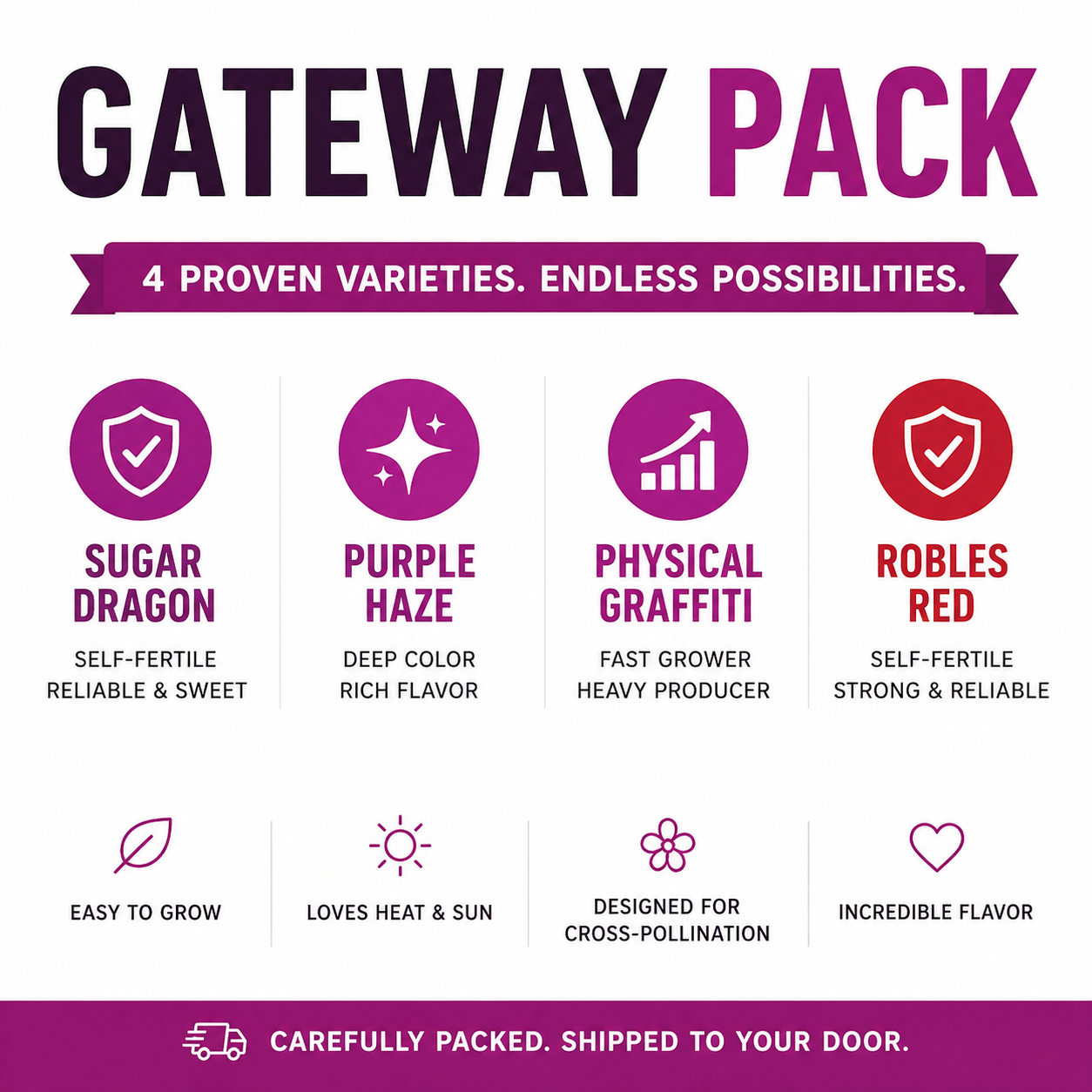 Gateway Pack (4 Dragon Fruit Varieties)